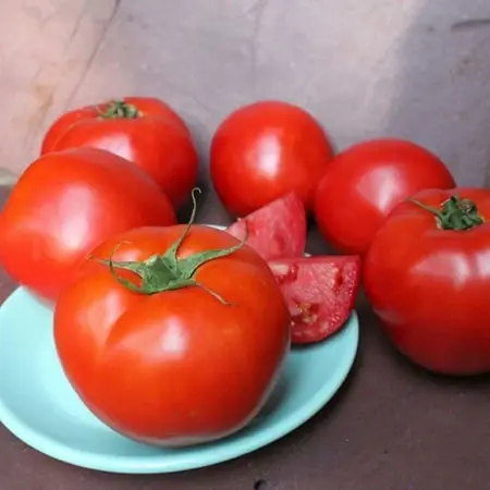Summer Set Tomato 19.3 Ounce - Fresh Garden Variety