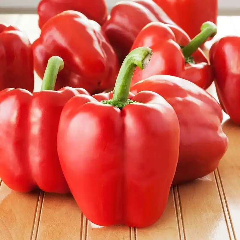 606 Pepper-red Bell Plant - Bonnie Plants Model 2101