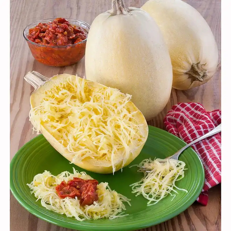 4.5 Inch 19.3 Ounce Squash-spaghetti Squash Plant - Bonnie Plants Model 4307