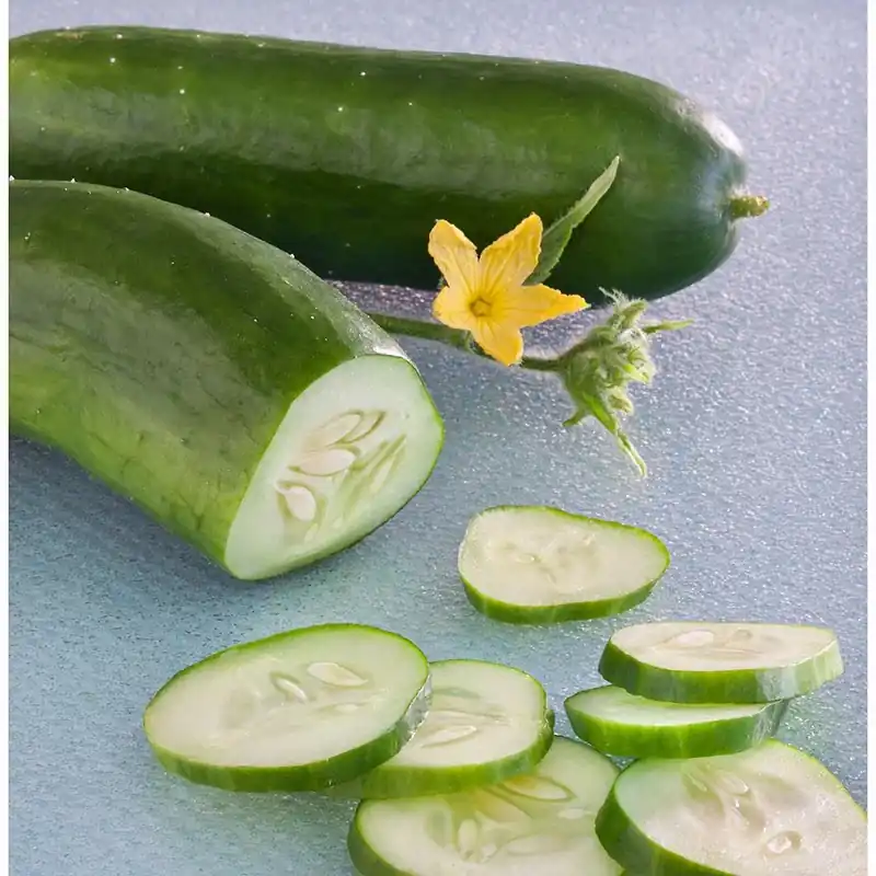 606 Cucumber-burpless Bush Hybrid Seeds By Bonnie Plants - Model 4201