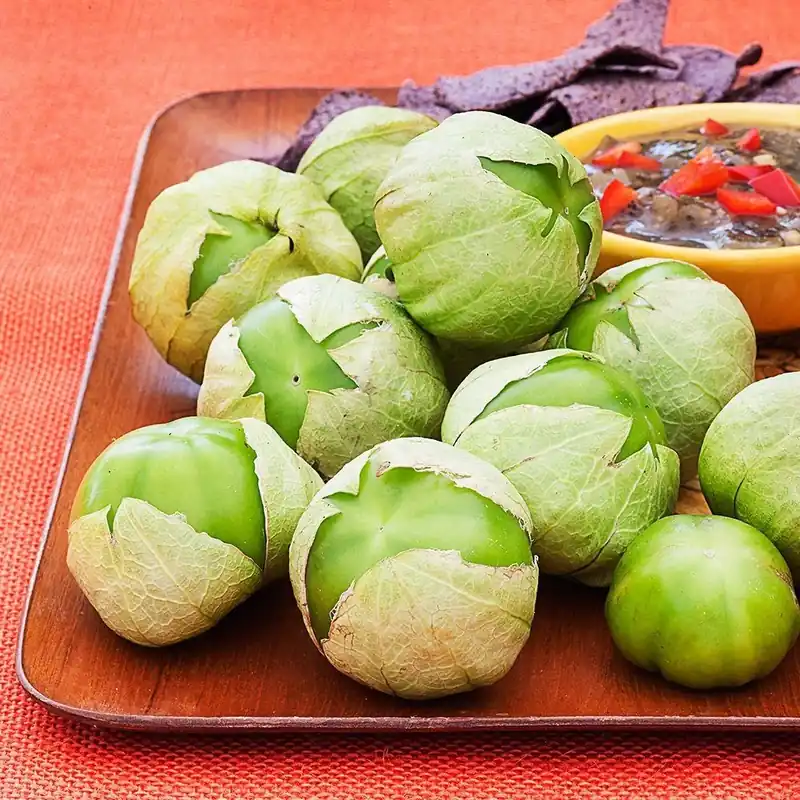 606 Corn-sugar Buns Vegetable Seeds - Model 4501