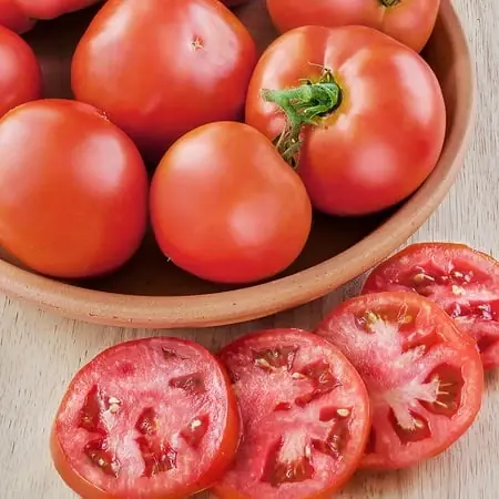 Organic Better Bush Tomato 14.6 Ounce - Heirloom Variety