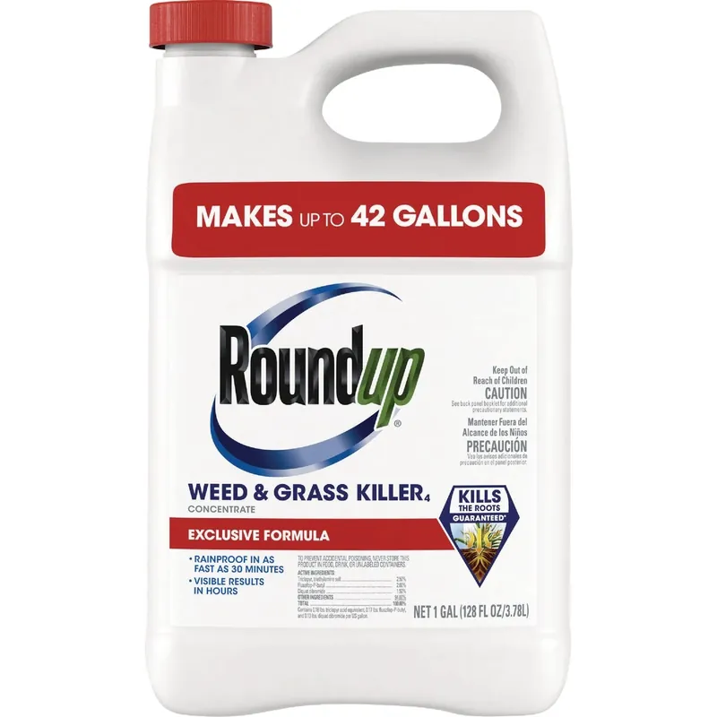 Weed & Grass Killer Concentrate Plus, 1 Gallon