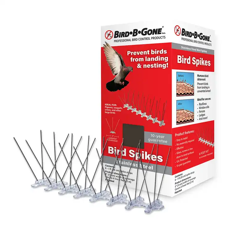 Bird Spike, Stainless Steel/Plastic, 5-In. X 6-Ft.