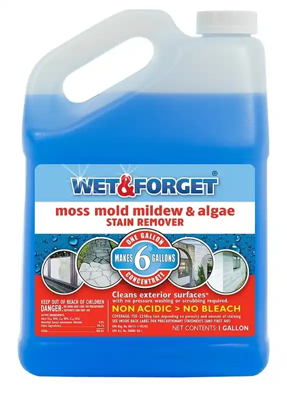 Moss, Mold & Mildew Stain Remover, 1 Gallon