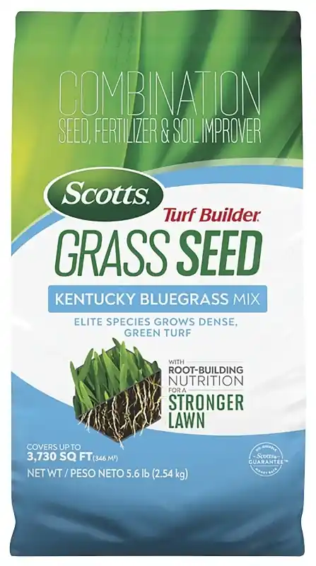Scotts Turf Builder Kentucky Bluegrass Sun Or Shade Fertilizer/Seed/Soil Improver 5.6 Lb