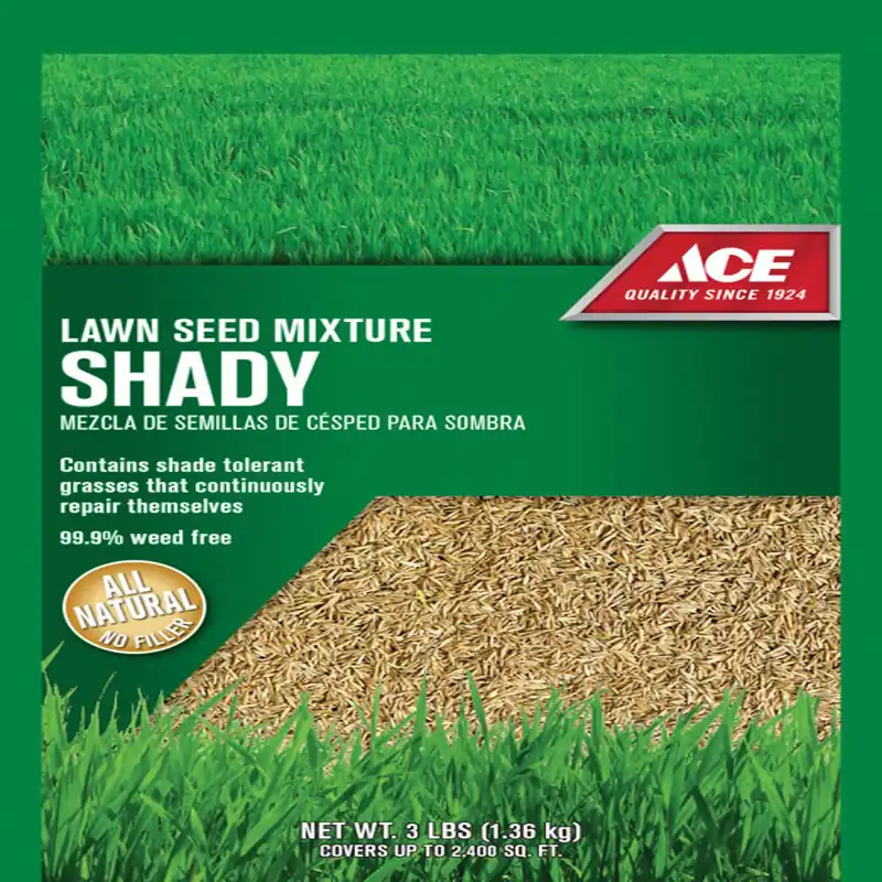 Mixed Full Shade Grass Seed 3 Lb - Ideal For Low Sun Areas
