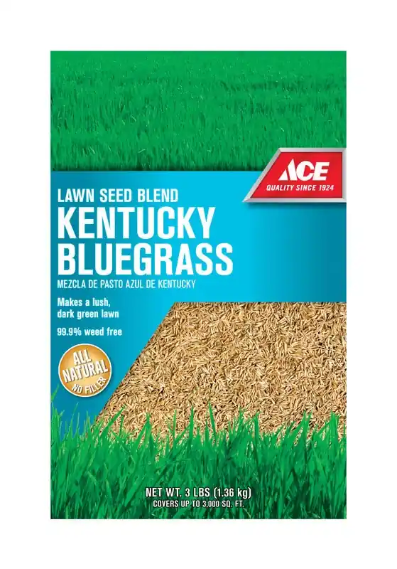 Kentucky Bluegrass Full Sun Grass Seed Blend 3 Lb - Self-repairing, Dark Green Lawn