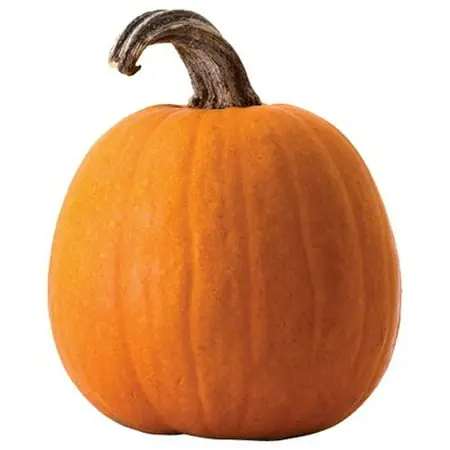 Orange Medium Carving Pumpkin For Halloween Decorating And Crafting