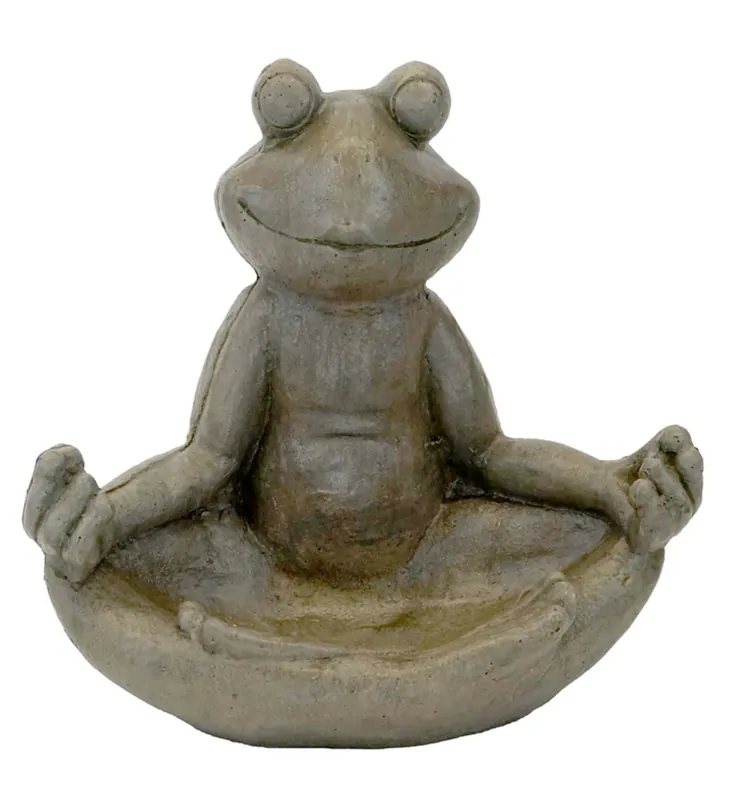 Pop-Eyed Meditating Frog