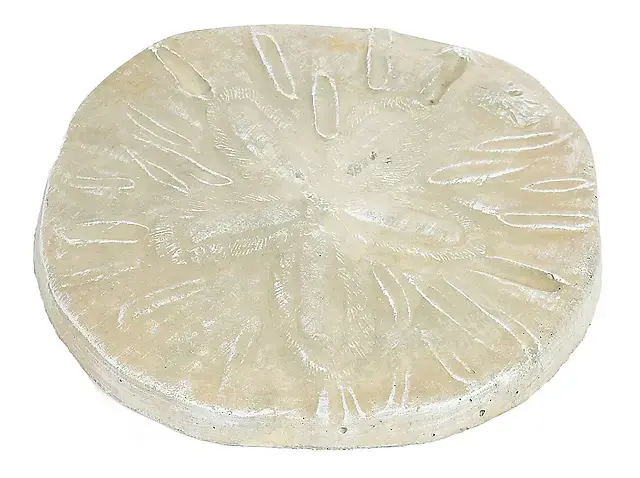 Sand Dollar Stone Pnt