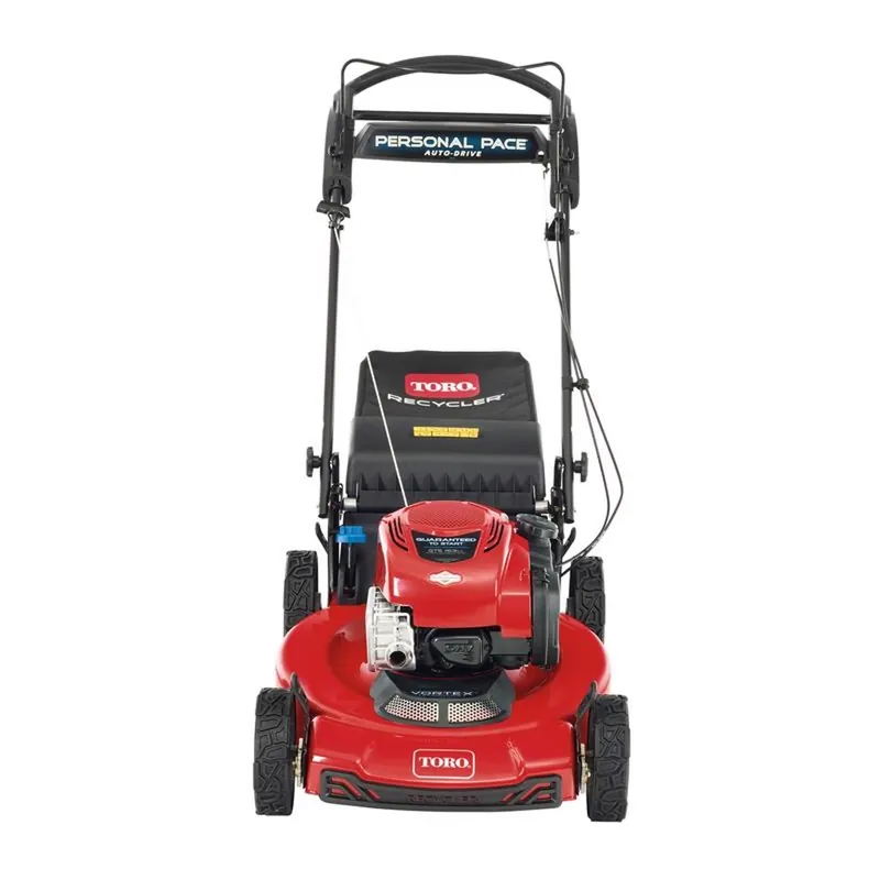 Recycler 21462 22 In. 163 Cc Gas Self-propelled Lawn Mower