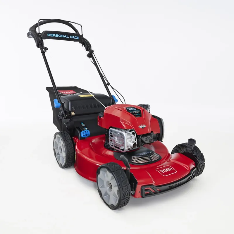 Smartstow 21465 22 In. 150 Cc Gas Self-propelled Lawn Mower