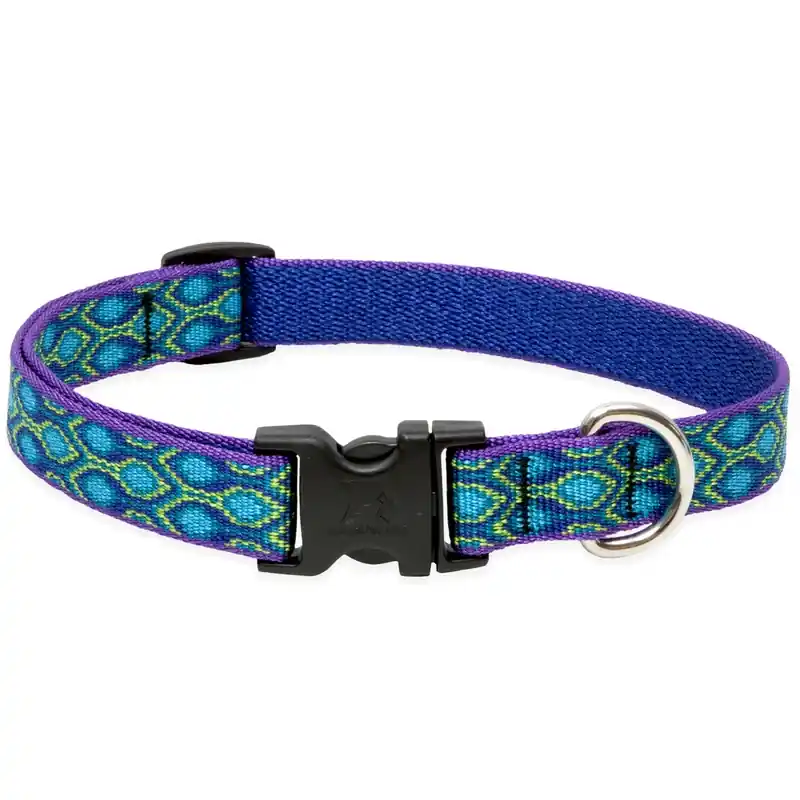 Pet Original Designs Multicolor Rain Song Nylon Dog Adjustable Collar 9-14 Inch