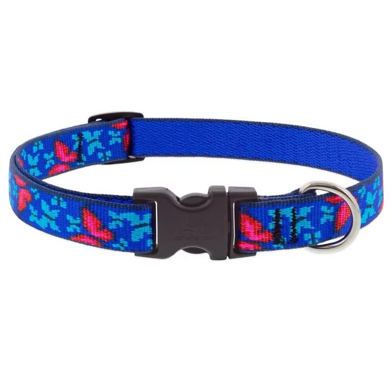 LupinePet Small Adjustable Nylon Dog Collar – Blue & Pink Social Butterfly Design