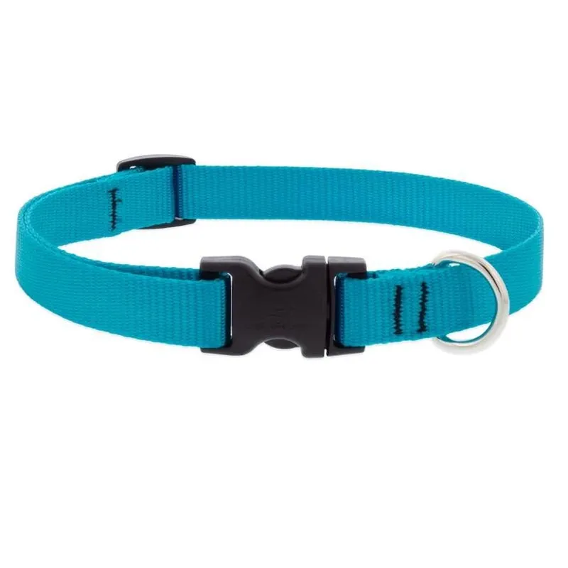 LupinePet Aqua Nylon Adjustable Dog Collar – Medium (9‑14 In)