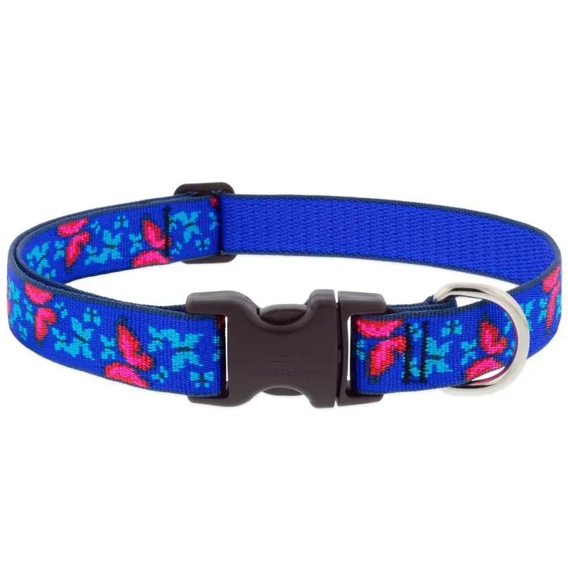 LupinePet Medium Adjustable Nylon Dog Collar – Blue & Pink Butterfly Design