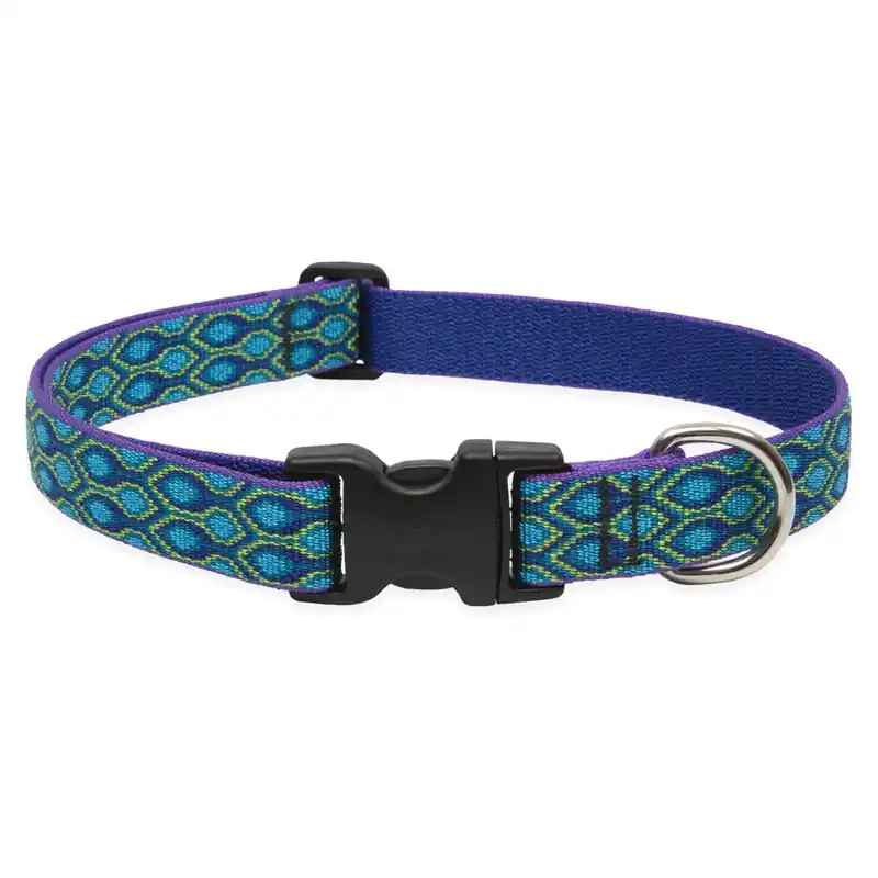 Original Designs Multicolor Rain Song Nylon Dog Adjustable Collar 16-28 In.