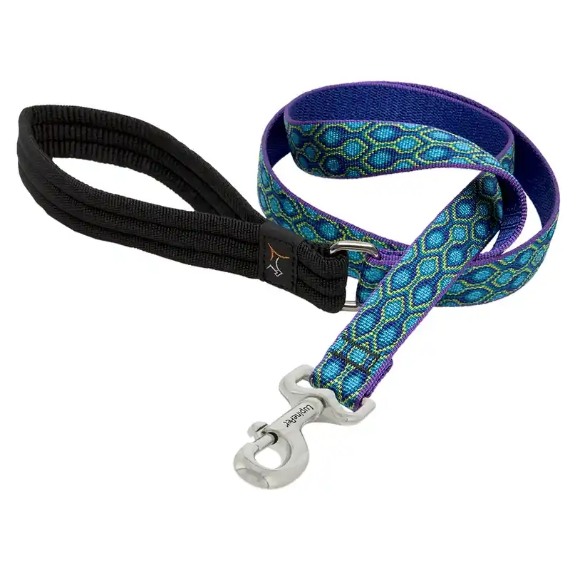 Pet Original Designs Multicolor Rain Song Nylon Dog Leash With Padded Handle