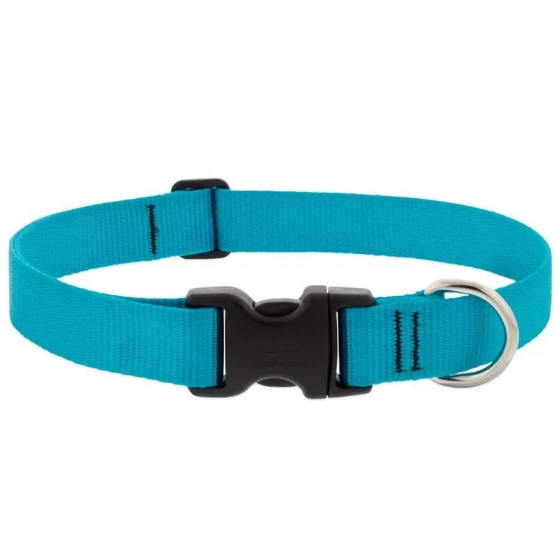 LupinePet Aqua Adjustable Nylon Dog Collar – Large/XL (16‑28in)