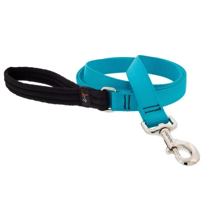LupinePet Aqua Nylon Dog Leash – 6‑ft, One‑Size‑Fits‑All, High‑Visibility