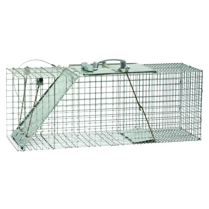 Havahart Large Live Catch Cage Trap For Cats And Raccoons 1 Pk