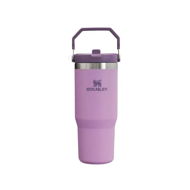 Stanley IceFlow 30‑oz Lilac Insulated Straw Tumbler – BPA‑Free, Dishwasher Safe