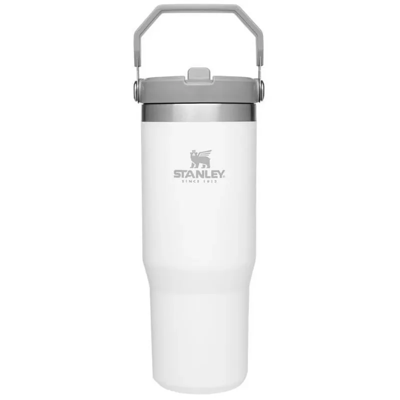 Stanley IceFlow 30‑oz Polar Vacuum‑Insulated Straw Tumbler – BPA‑Free