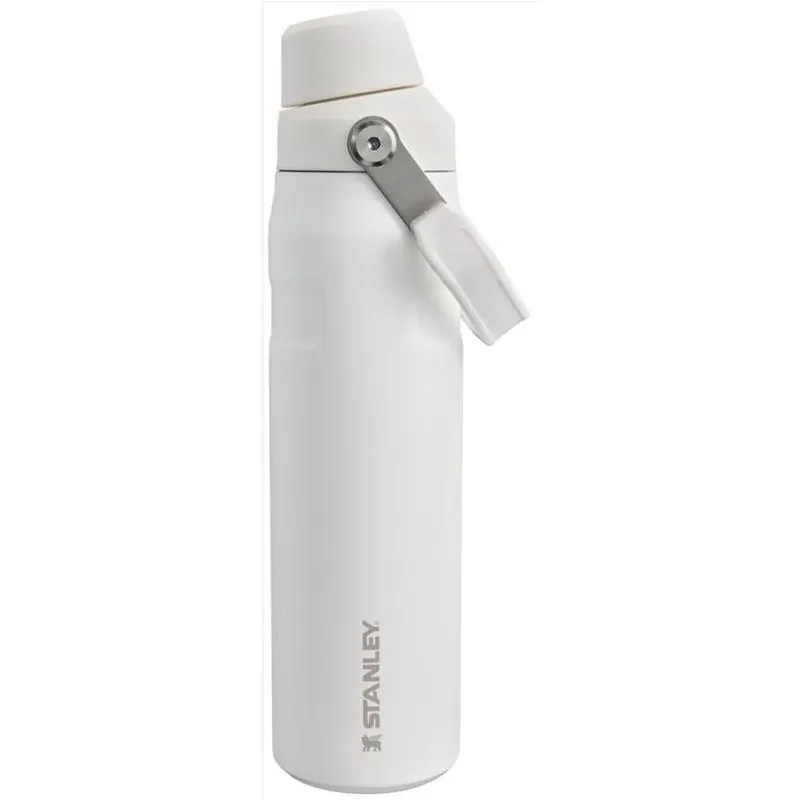 Stanley IceFlow Fast Flow 24 Oz Frost BPA Free Bottle With Straw Cap