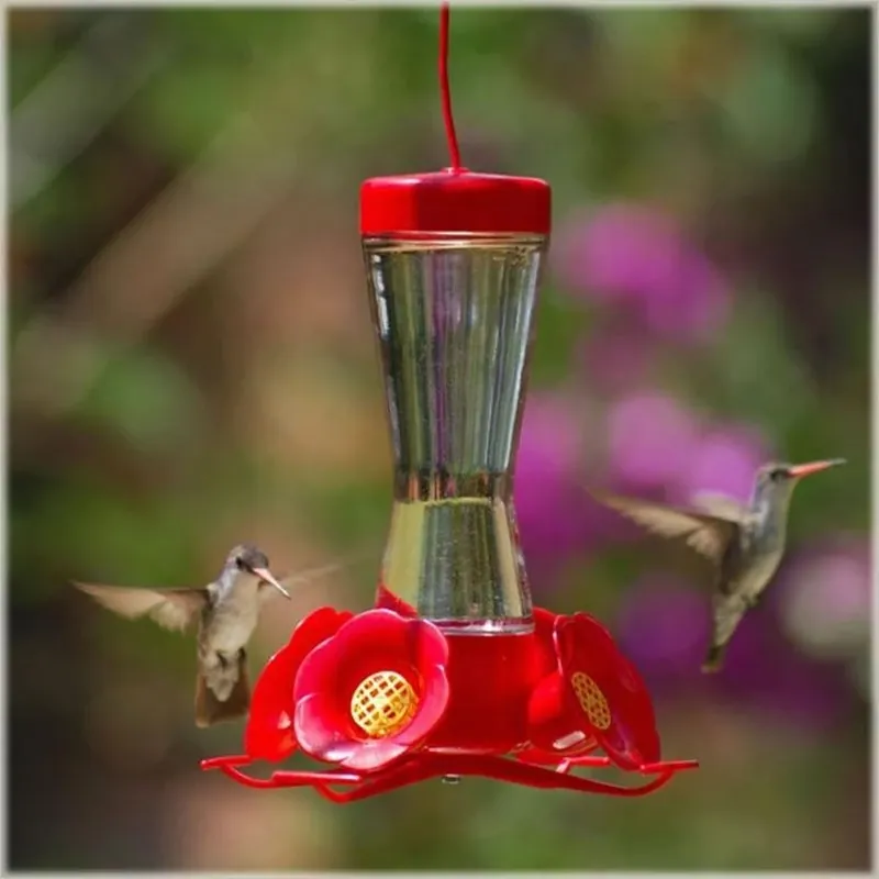 Hummingbird W Pinch Waist Hummingbird Feeder Red 8 Ounces - 203CP