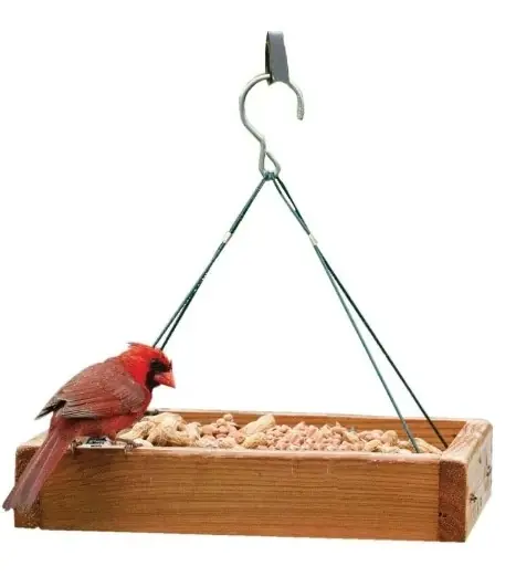 Naplat2 Audubon 3 In 1 Platform Feeder - Cedar And Screen Design