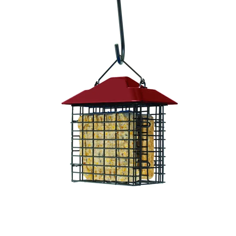 Double Suet Basket Cage - Plastic And Steel Construction, 6.95 In Height