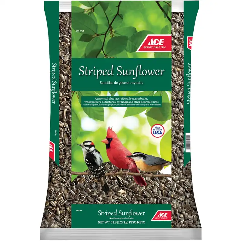 Striped Sunflower Seed Wild Bird Food 5 Lb - High Energy Nutrition