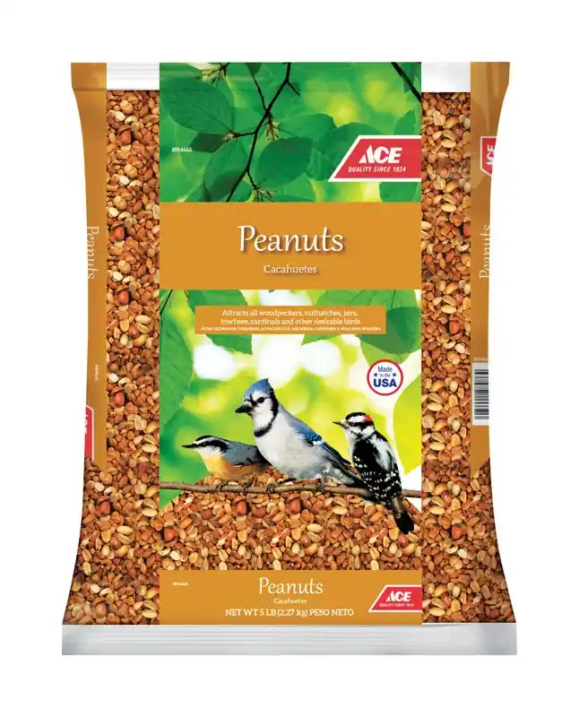 Songbird Shelled Peanuts 5 Lb - High Protein Wildlife Food For Backyard Birds