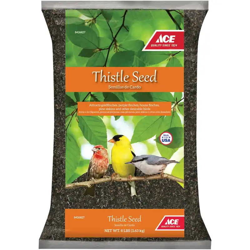 Songbird Nyger Thistle Seed Wild Bird Food 8 Lb - High Oil Content For Finches