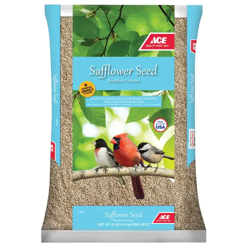 Safflower Seeds Wild Bird Food 10 Lb - Attracts Cardinals, Blue Jays & More