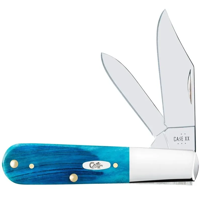 62009 1/2 SSM Carib BluE