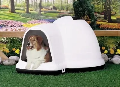 Indigo Large Dog House For Dogs 50-90 Lbs, Model 25946