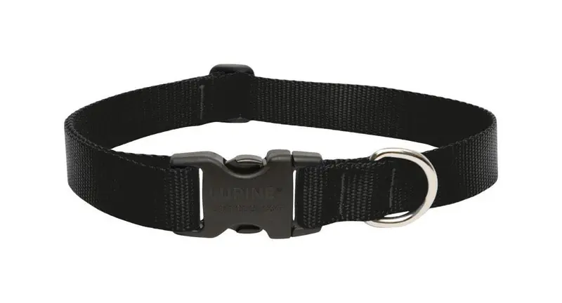 Lupine Pet Basic Solids Black Nylon Adjustable Dog Collar 12-20 Inches