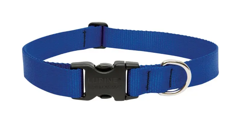 Lupine Pet Basic Solids Blue Nylon Adjustable Dog Collar 12-20 Inches