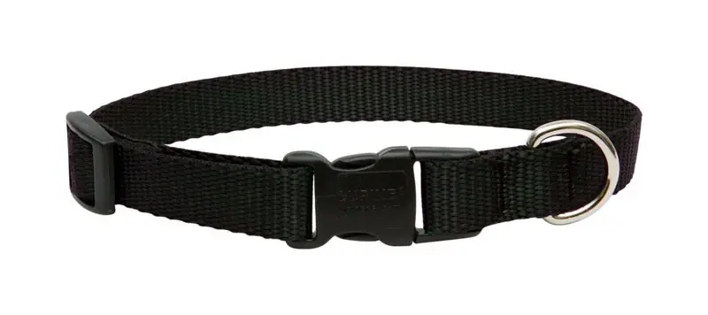 Lupine Pet Basic Solids Black Nylon Adjustable Dog Collar 9-14 Inches