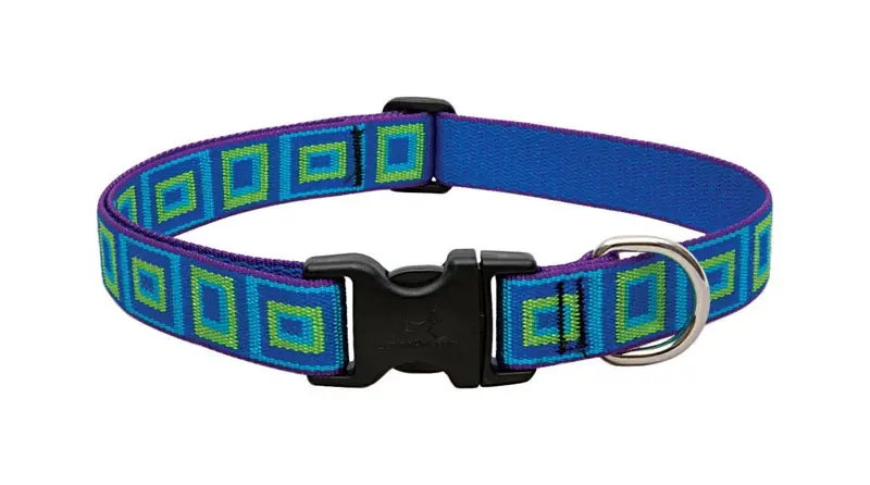 Original Designs Multicolor Sea Glass Nylon Dog Adjustable Collar 12-20 In.