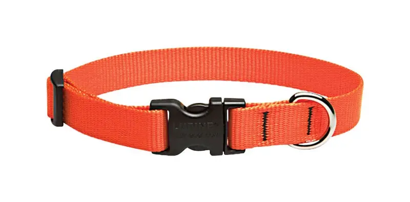Lupine Pet Basic Solids Blaze Orange Nylon Dog Adjustable Collar 13-22 Inches