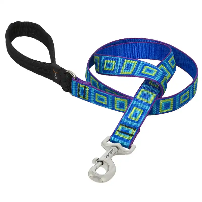 Lupine Pet Original Designs Multicolor Sea Glass Nylon Dog Leash 6ft
