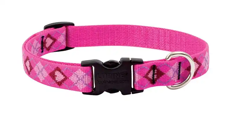 Dog Collar, Adjustable, Puppy Love, 3/4 X 9 To 14 In.