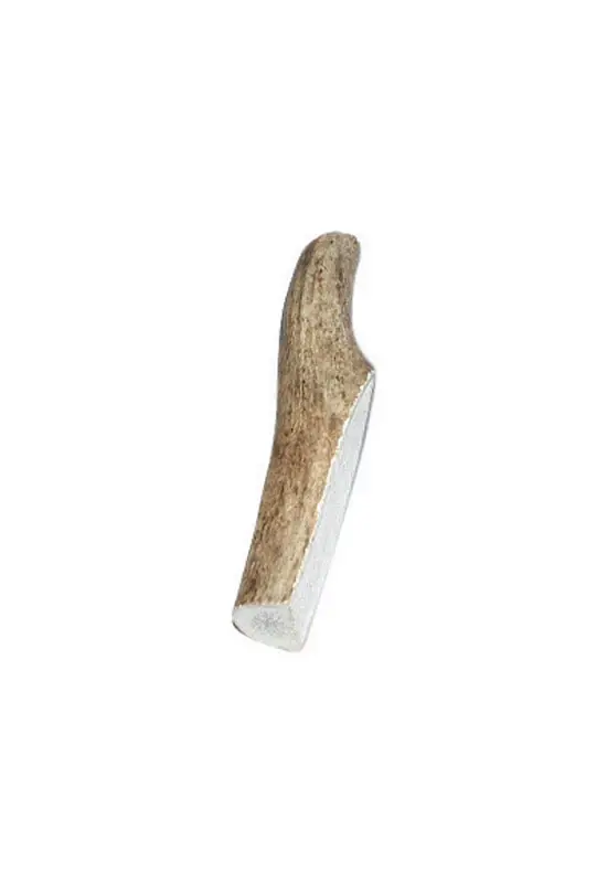 Bucky Bites Small/Medium Adult Antler Antler 3 In. L 1 Pk