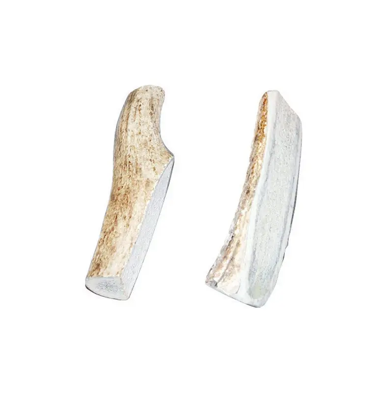 Bucky Bites All Size Dogs All Ages Antler Antler 4 In. L 2 Pk