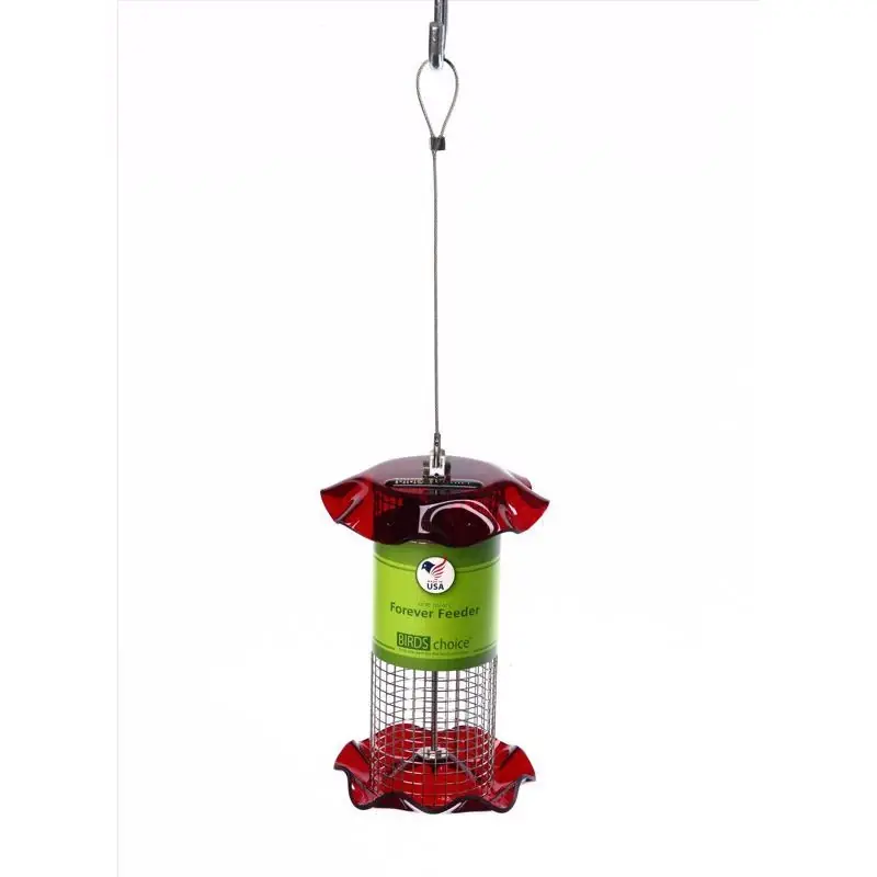 Birds Choice Wild Bird 1 Quart Acrylic Stainless Steel Tube Mesh Bird Feeder