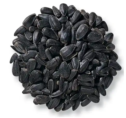 Jrk Seed & Turf Supply B110040 40LB BLK SunFLWR Food