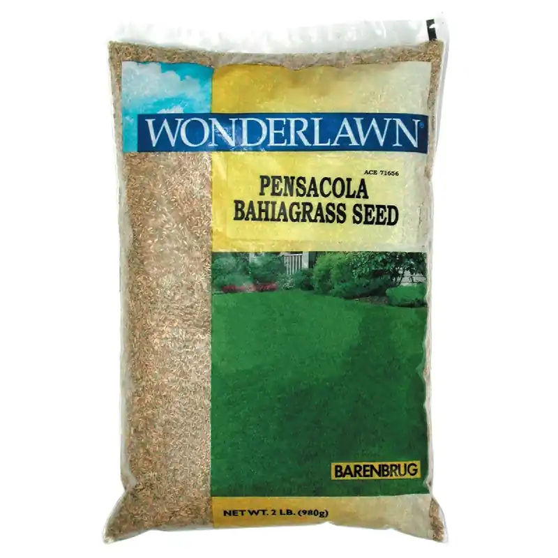 Pensacola Bahiagrass Grass Seed, Southeastern, 2 Lbs., Covers 450 Sq. Ft.